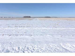 Property photo 55 - OHIO REAL ESTATE AUCTION - 202+/- ACRES IN 3 TRACTS IN VAN WERT COUNTY, OHIO